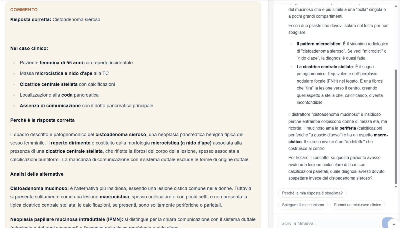 Il commento di una domanda, con Minerva accanto.